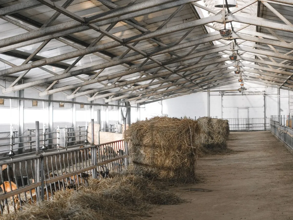 Galpão agrícola construído com estrutura metálica de aço